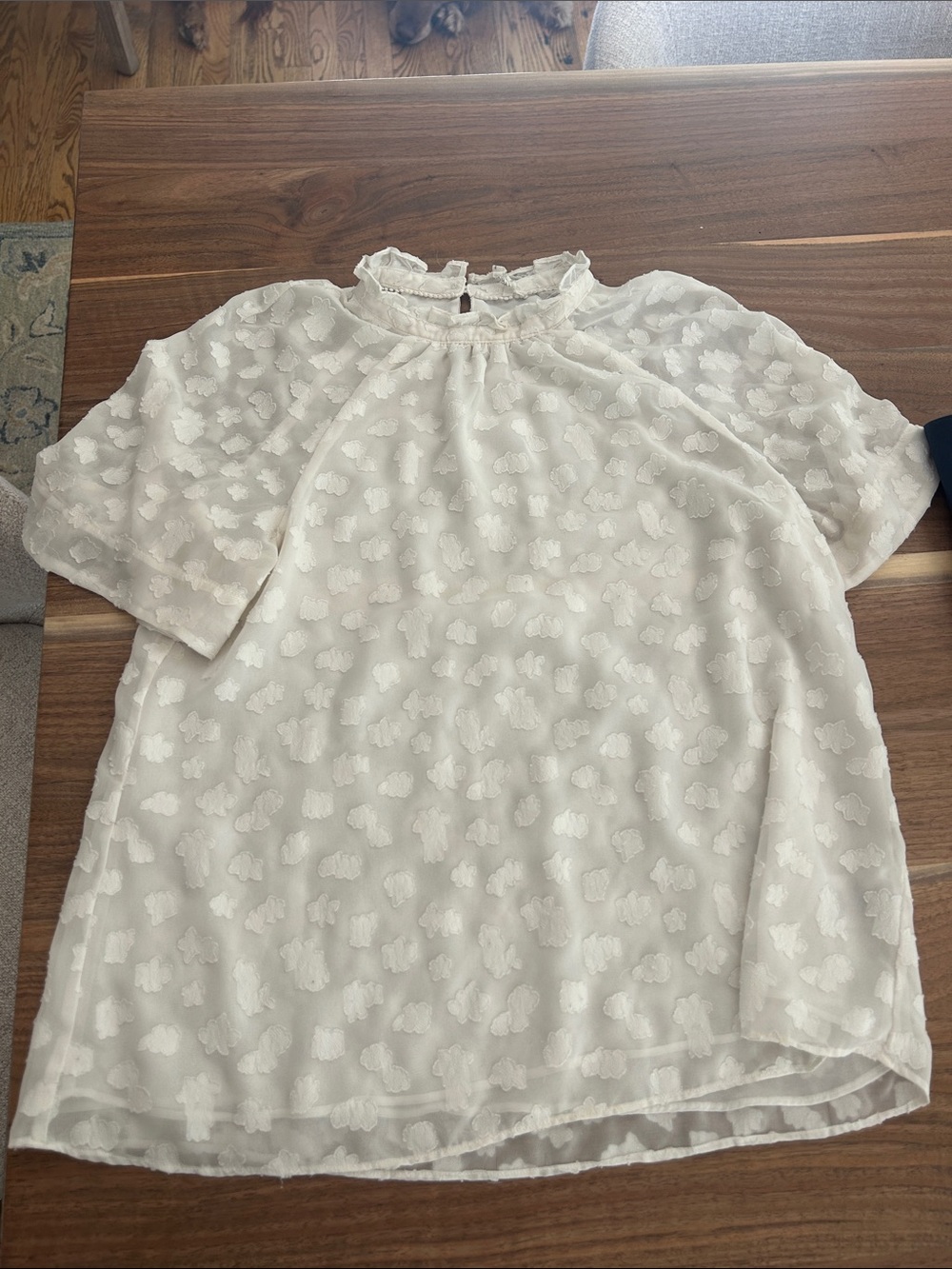 Anthropologie Cream Textured Ruffle-Neck Blouse